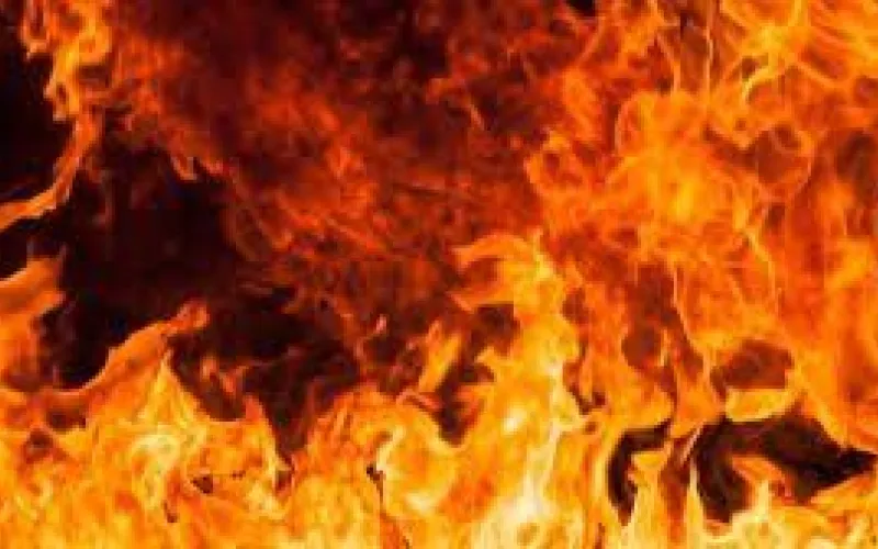 Мужчина погиб при пожаре в алтайском санатории 