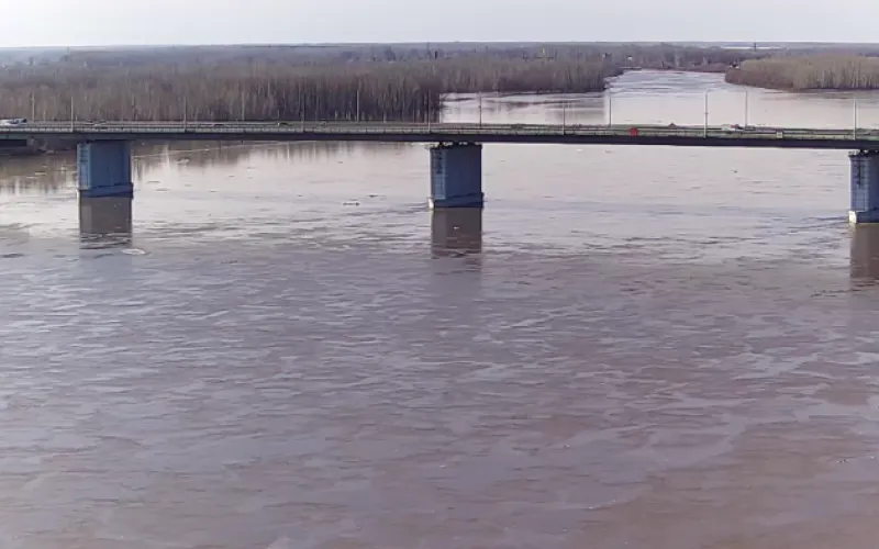 Паводок-2018: актуальный уровень рек в Алтайском крае