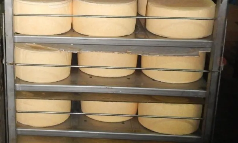 Сотрудники молочного комбината украли около трёхсот килограммов сырного продукта в Алтайском крае