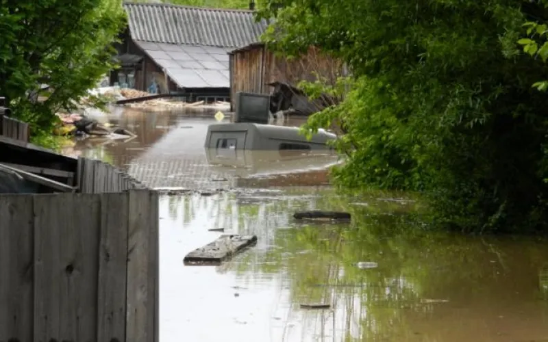 Сибирская Венеция: микрорайон в Бийске топят грунтовые воды