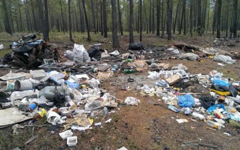 Барнаульцев приглашают убраться в лесу 