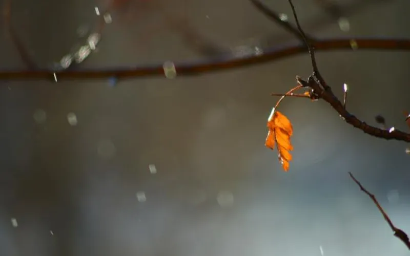 Штормовое предупреждение: о погоде в Алтайском крае 23 сентября