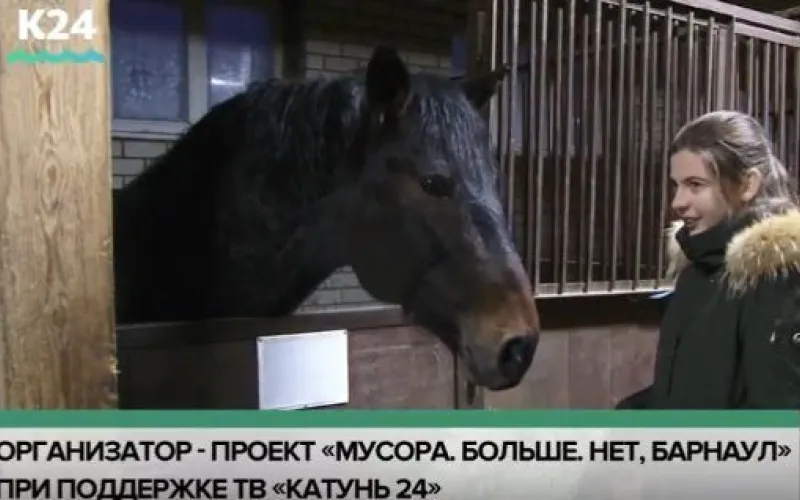 Телеканал «Катунь 24» совместно с барнаульцами принял участие в акции «Елки, Палки, Пять Бизонов»