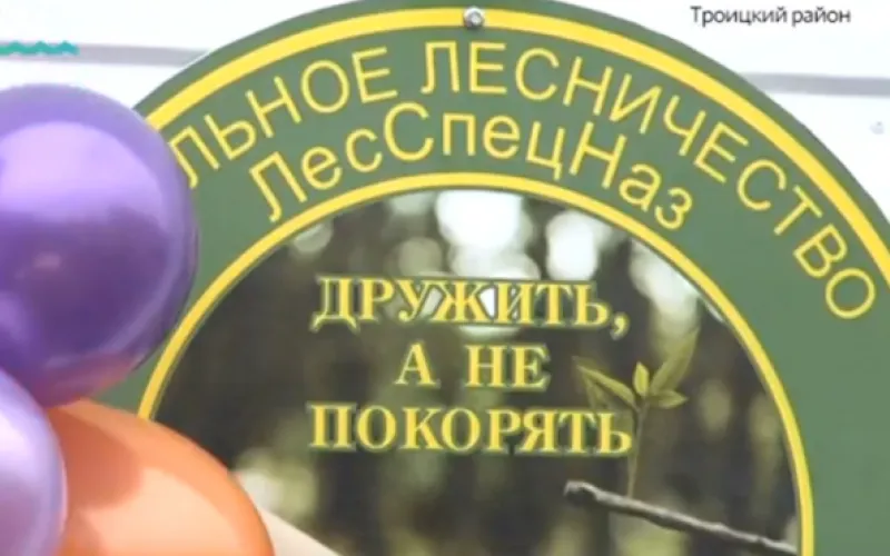 Спецкласс для юных лесничих открыли в школе в Алтайском крае 