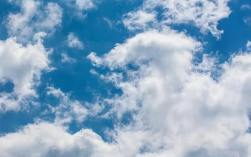 Тепло в пути: о погоде в Алтайском крае 29 апреля