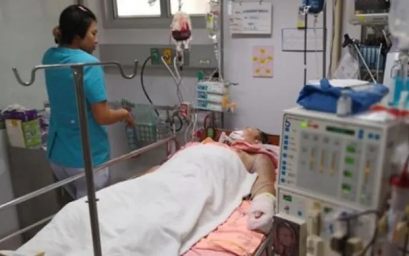 Для борьбы с лихорадкой денге барнаульцу собрали более 1 млн рублей