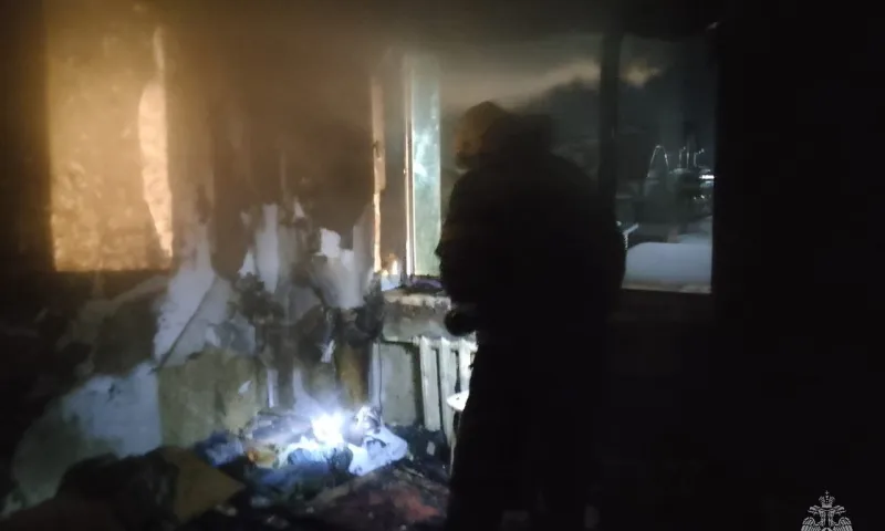 Мужчина пострадал при пожаре в Павловском районе