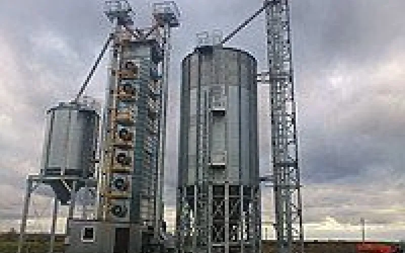 Новые объекты для хранения и подработки зерна появятся в Алтайском крае 