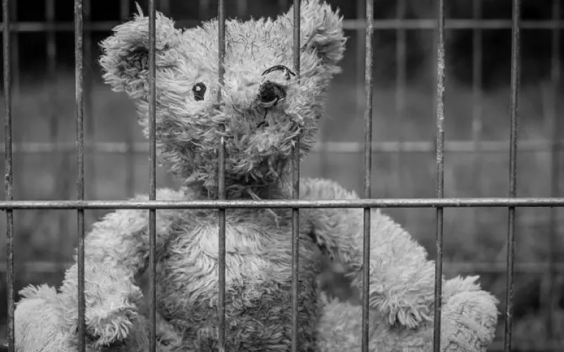 Десятилетнего ребёнка арестовали на 10 суток в Барнауле