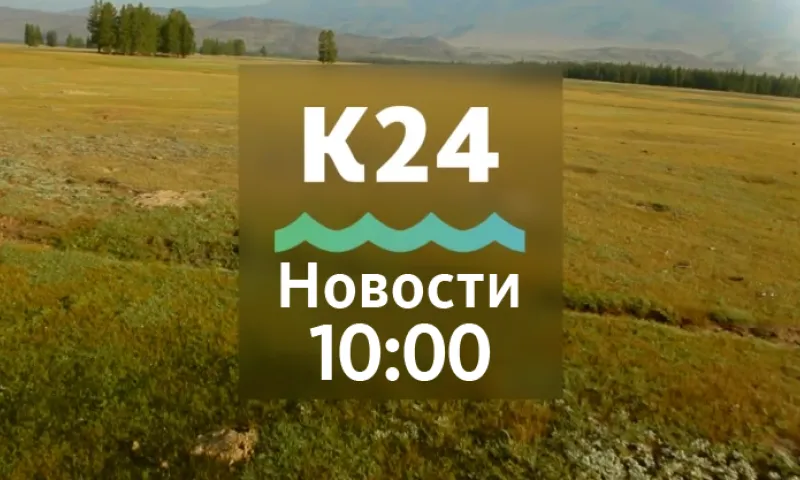 Сессия краевых депутатов проходит в Барнауле и Чемпионат России по парикмахерскому искусства