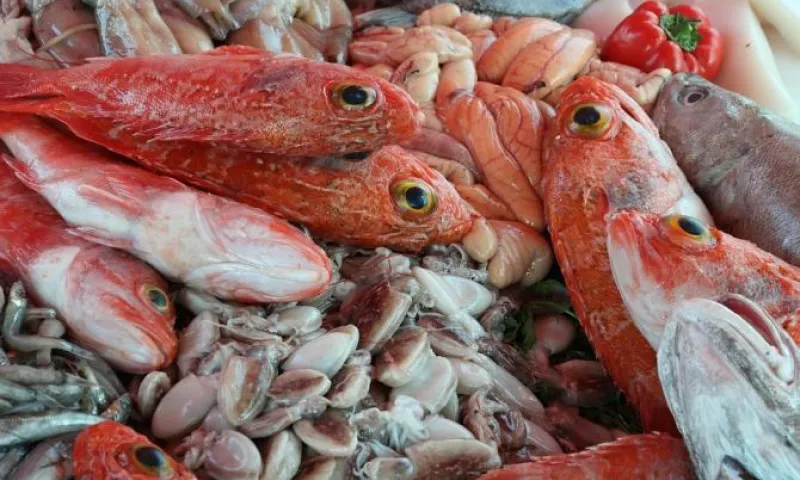 Роспотребнадзор изъял 100 кг некачественной рыбы и морепродуктов в Алтайском крае