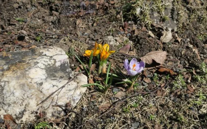 Очень тепло: о погоде в Алтайском крае 21 апреля