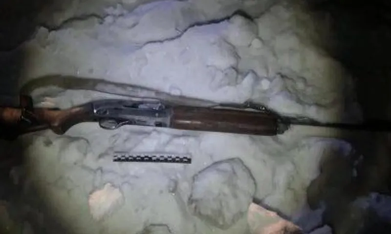 Браконьера, убившего 2 косуль, задержали на посту ДПС