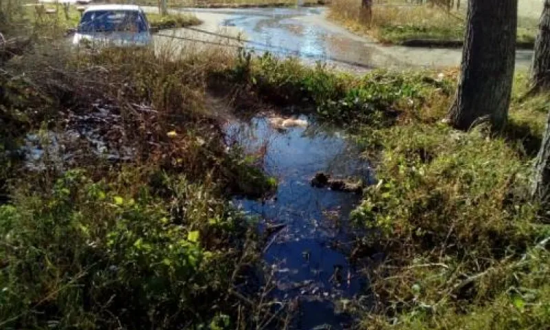Улицы Змеиногорска заливает канализационными водами