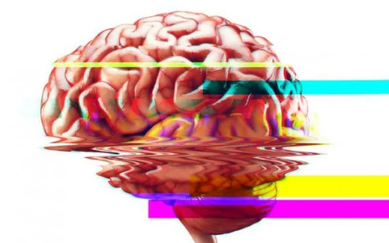 Ученые рассказали, что недосыпание может разрушать нейронные связи мозга