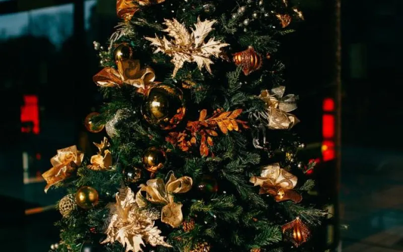 Молодому человеку в Барнауле грозит до 2 лет тюремного срока за кражу новогодней ели 