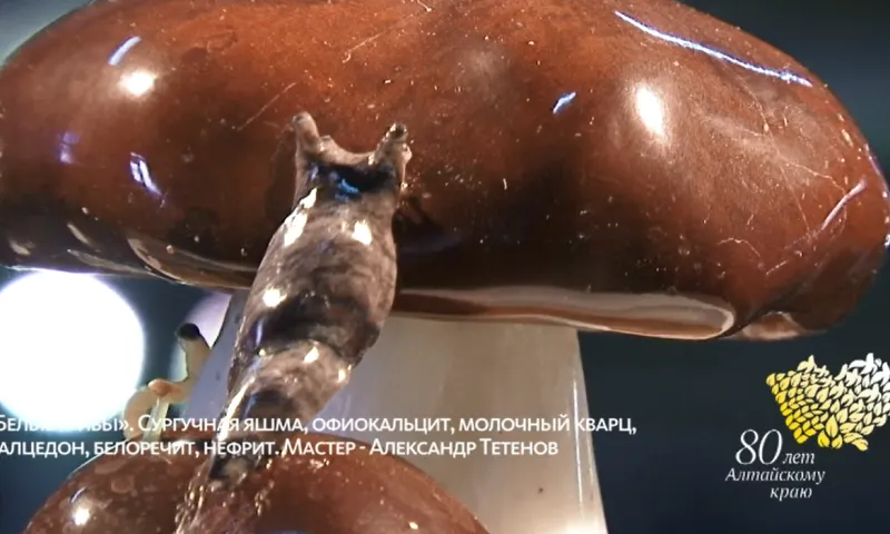 «Музейная редкость» - белый гриб