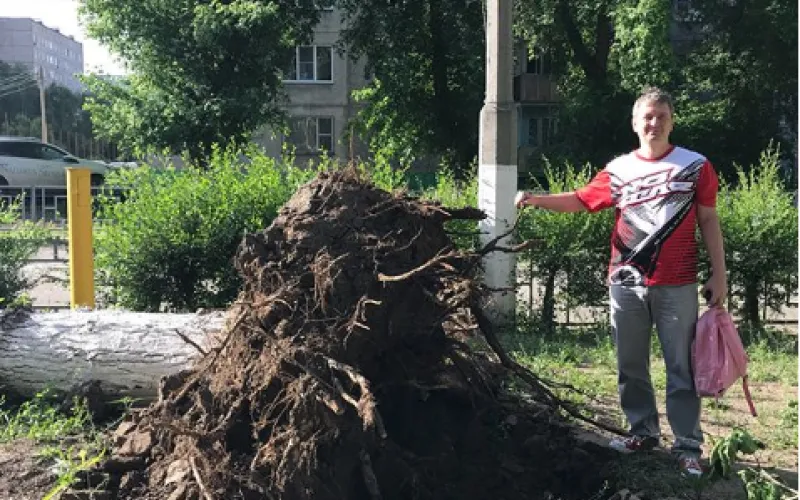 Летняя буря прошла в Барнауле 