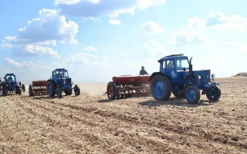 Более 10 тонн минеральных удобрений заготовили в Алтайском крае для посевной 