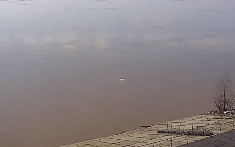 Паводок-2018: актуальный уровень рек в Алтайском крае 20 апреля