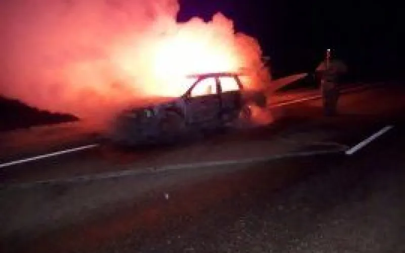 Автомобиль сгорел в Рубцовском районе