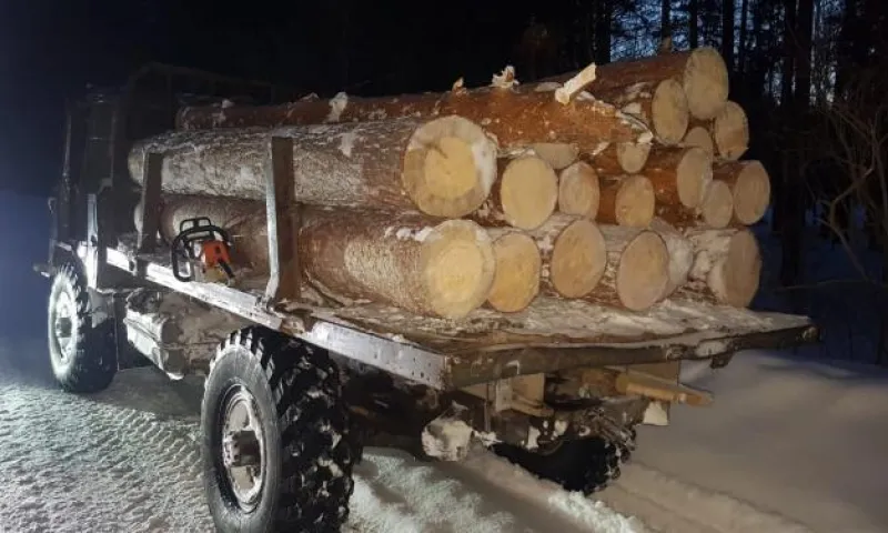 «Черного лесоруба» дважды задержали в Алтайском крае