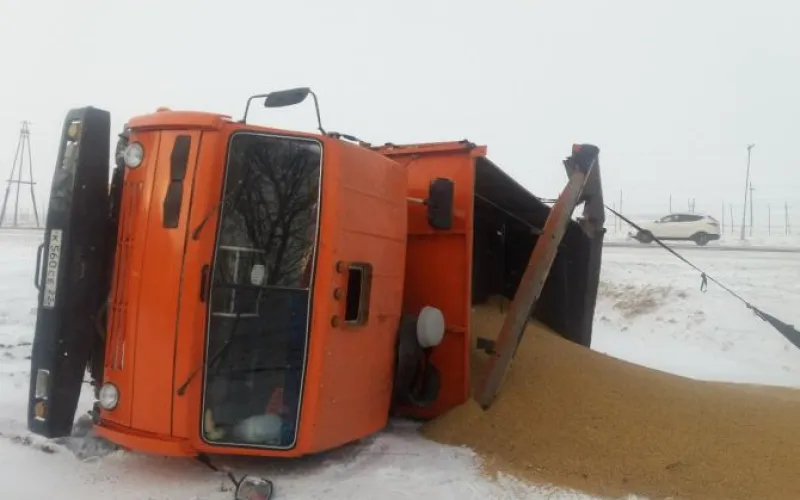 В Ребрихинском районе перевернулся грузовик с зерном