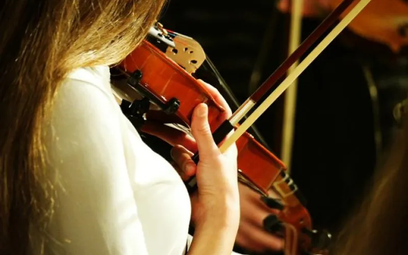 Юбилей Барнаульской детской школы искусств № 4 отметят в филармонии Алтайского края