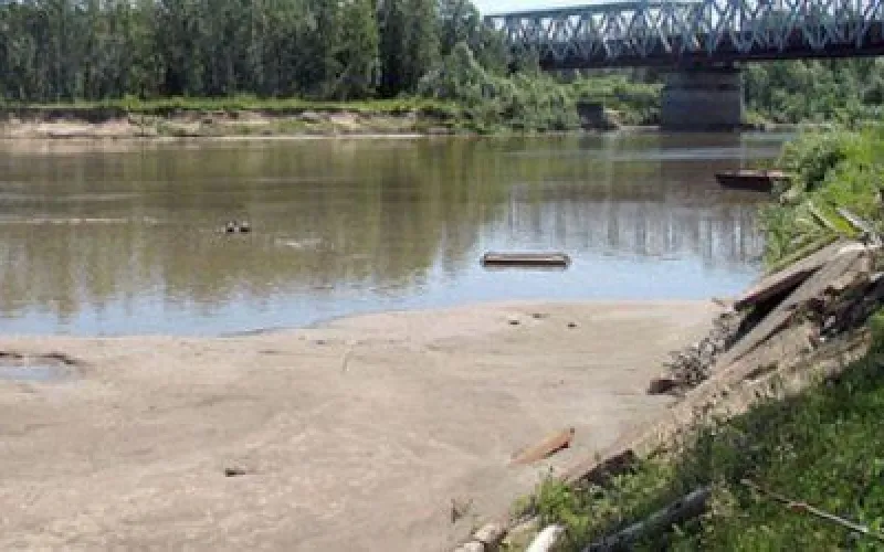 Мужчина с ребенком утонули во время купания в Заринском районе