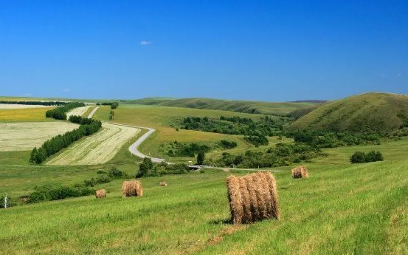 Алтайский край вошел в тройку лидеров экорейтинга России