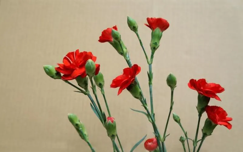 Вечер памяти писателей-фронтовиков состоится в Барнауле