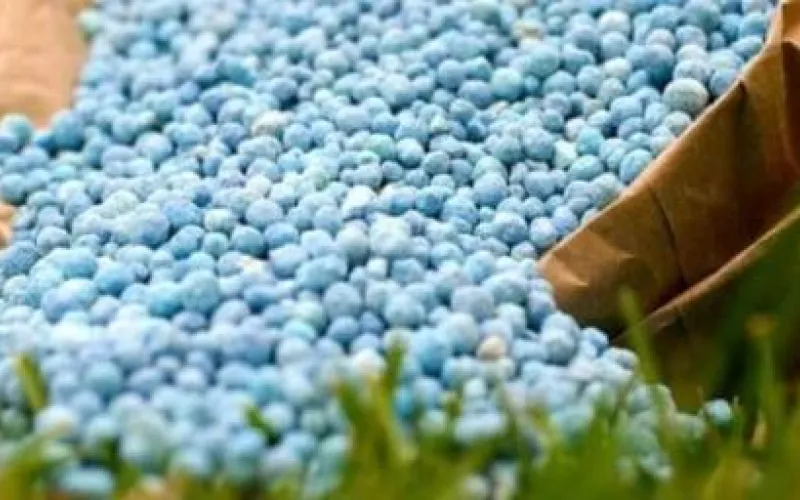 Алтайские аграрии продолжают подготовку к посевной