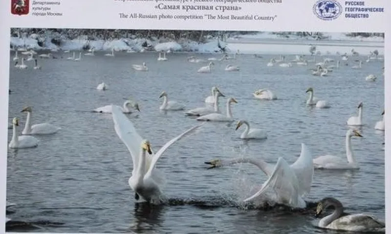 Заявки на фотоконкурс «Самая красивая страна» с крупными денежными призами принимают в Алтайском крае