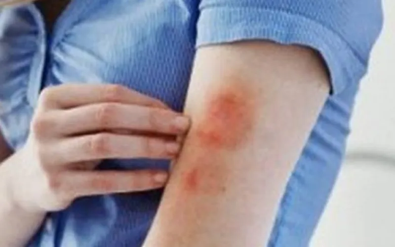 16-летняя школьница получила условный срок за вымогательство и избиение сверстницы в Барнауле