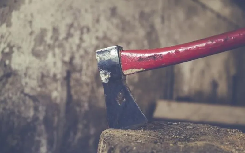 Бийский рецидивист забил насмерть мачеху и ее сына 