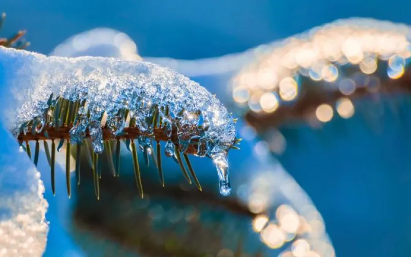 Во власти циклона: о погоде в Алтайском крае 23 февраля