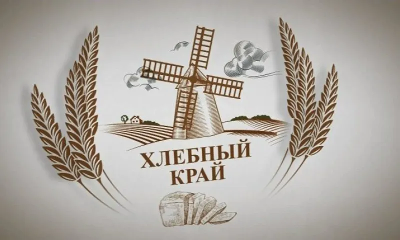 В программе «Хлебный край» обсудили качество алтайской пшеницы