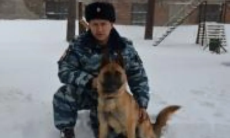 Служебный пёс помог за час раскрыть кражу со взломом в Бийске