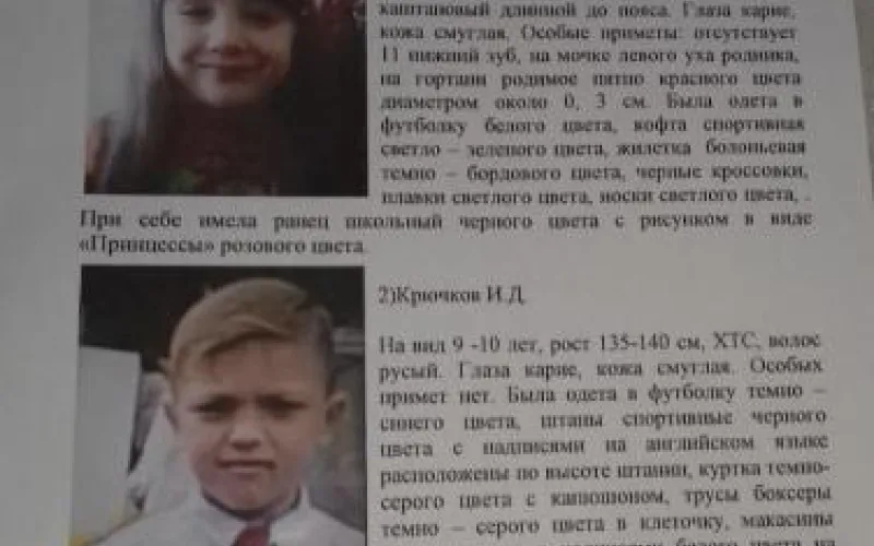 Пропавшие в бийском лесу дети найдены живыми