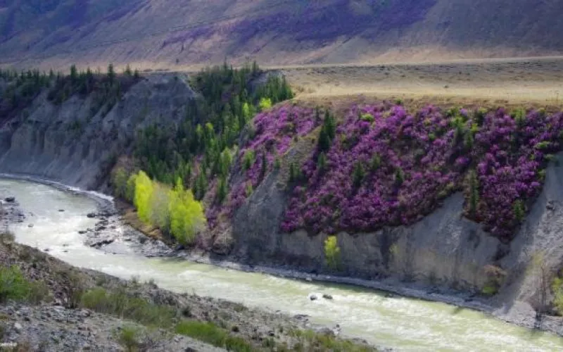 Синоптики рассказали, когда на Алтай придет настоящая весна