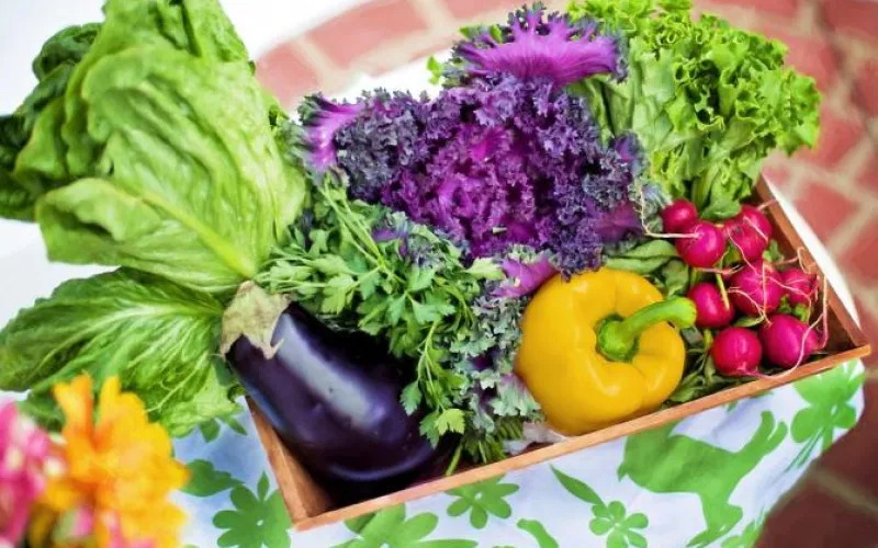 Продуктовые ярмарки пройдут в Барнауле