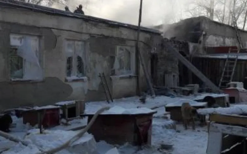 Приют для животных сгорел в Бийске: погибло более 30 собак и кошек