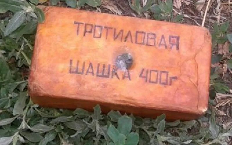 Житель Алтайского края обменял тротиловую шашку на спиртное