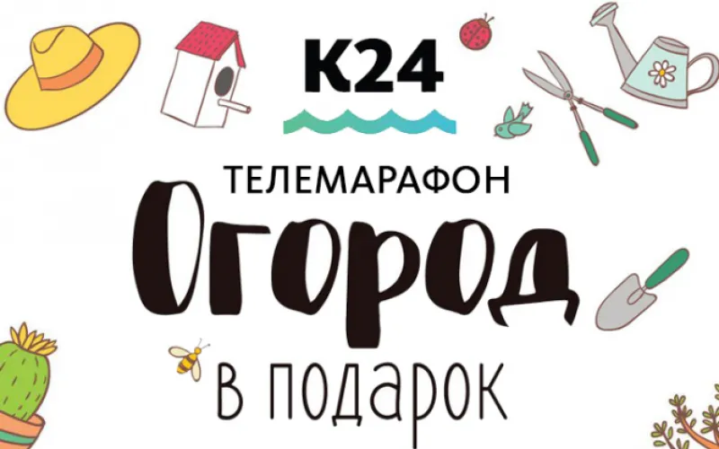 Начинается трансляция телемарафона «Огород в подарок»