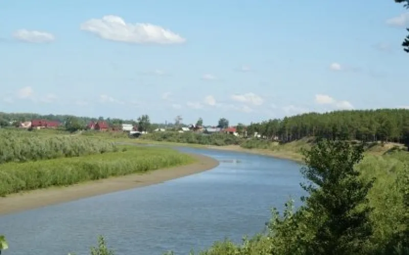 Тело ребенка нашли в алтайской реке