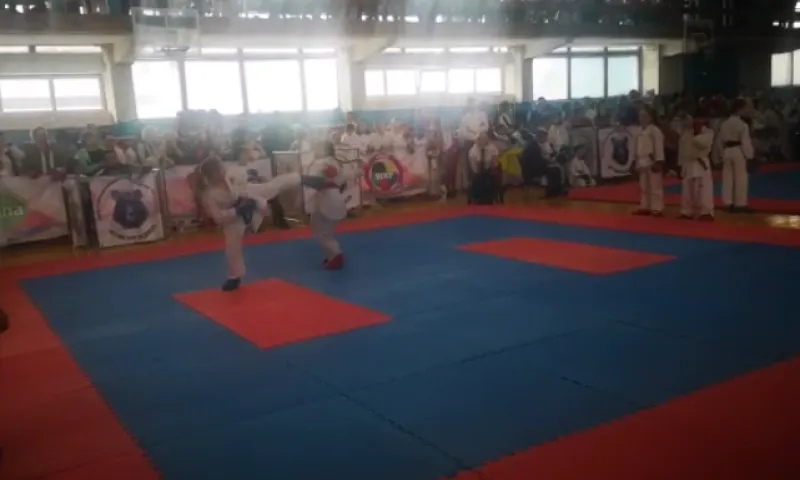 Международный чемпионат по карате и чемпионат Сибирского федерального округа проходят в Барнауле