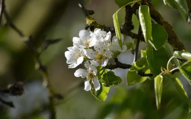 Жарко, но не всегда: о погоде в Алтайском крае на майские каникулы