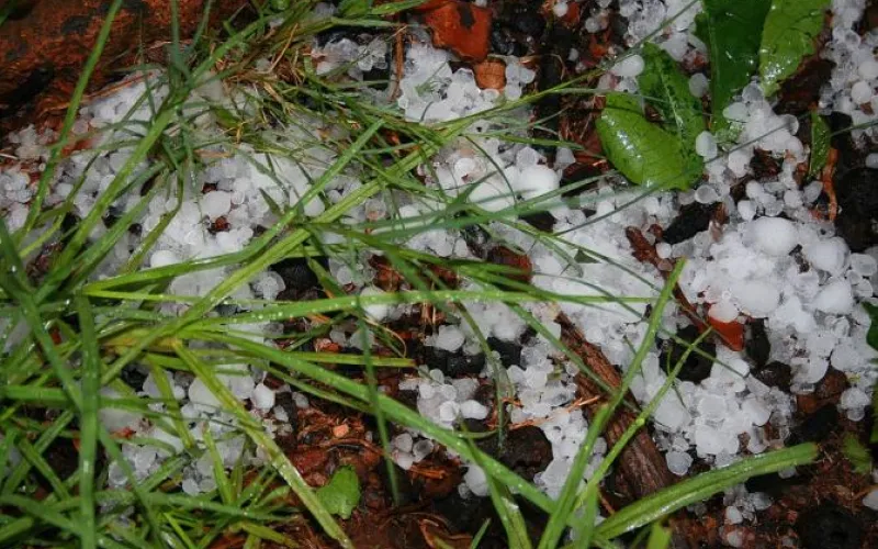 Ожидание шторма: погода в Алтайском крае резко испортится