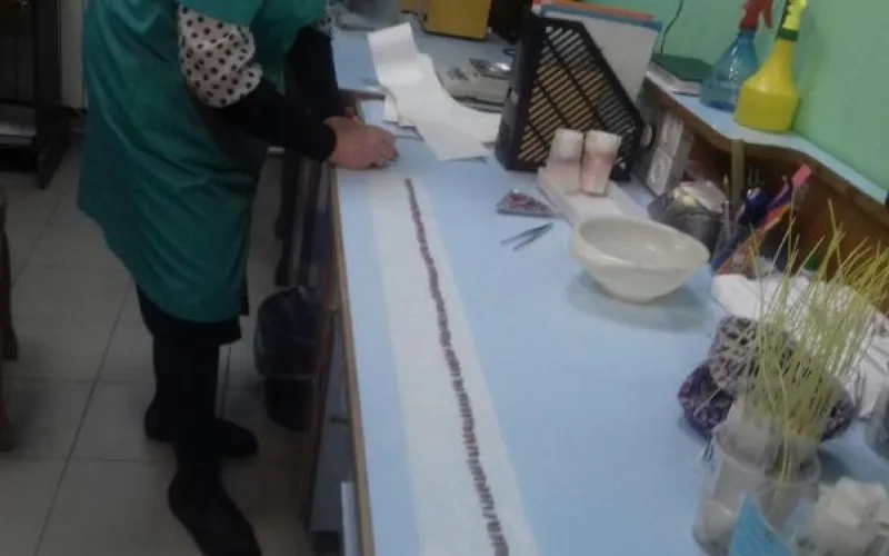  Качество посевного материала проверяют специалисты в лабораториях Россельхозцентра