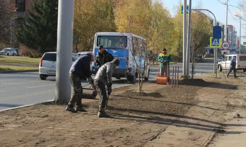 Более 10 тысяч квадратных метров газонов реконструируют в Барнауле